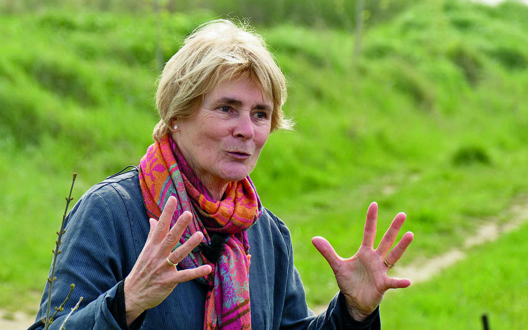 Fête de la Closerie – Conte Marie Gaillard